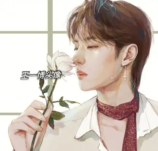 漫画男头王一博