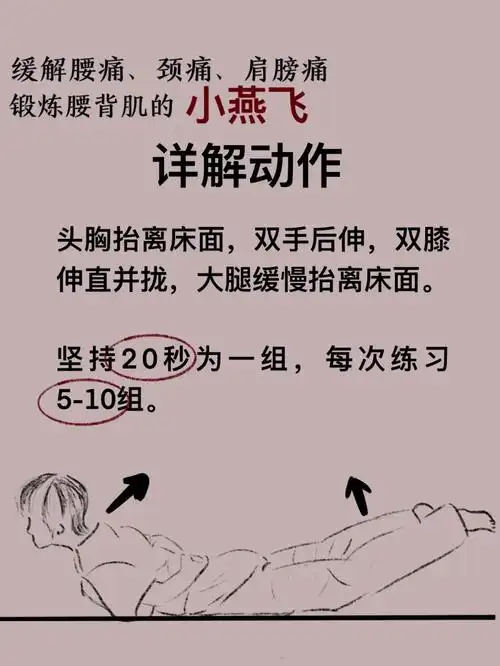 but!并不是所有人都适合做小燕飞嗷