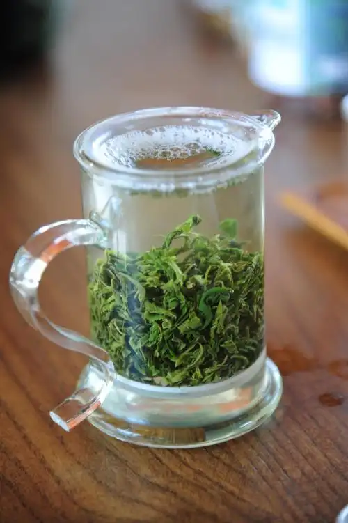 济南采茶记辛苦采茶只为了你手中的这杯香茶