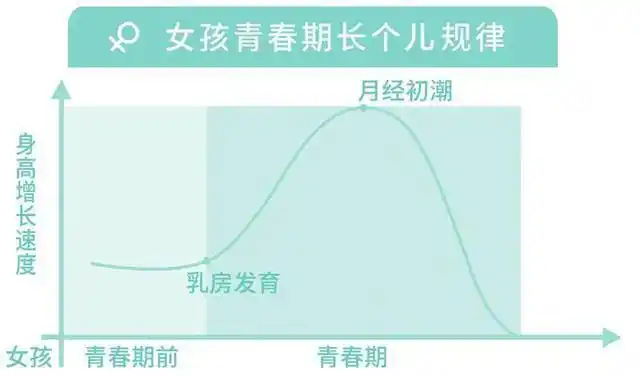 一般女孩从9-10岁开始发育,在青春期可以长高25厘米左右;男孩从10-12