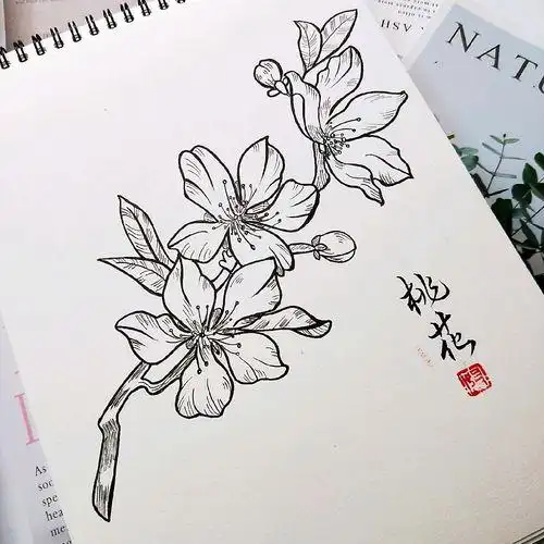 古风简笔画花草幼儿