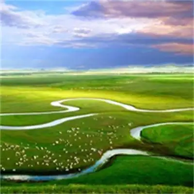 春天绿色系草原风景头像图片