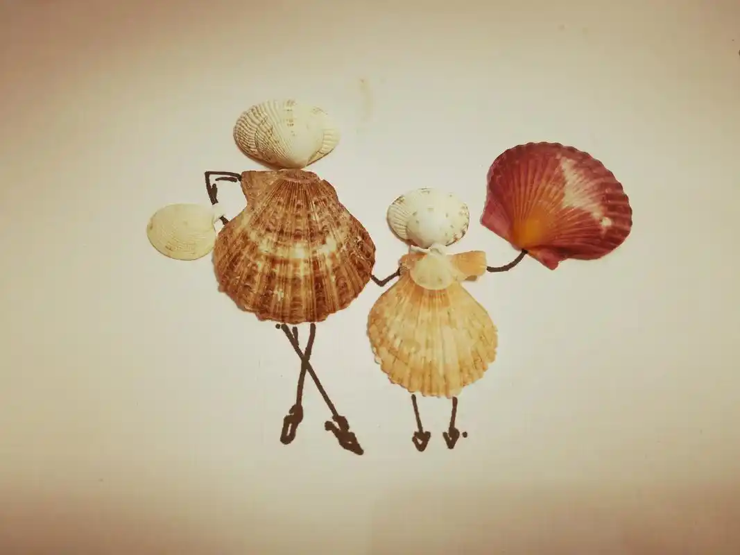 创意手工贝壳画,很多有孩子的朋友都收藏了