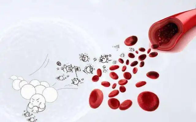 血液净化清除血毒还你健康