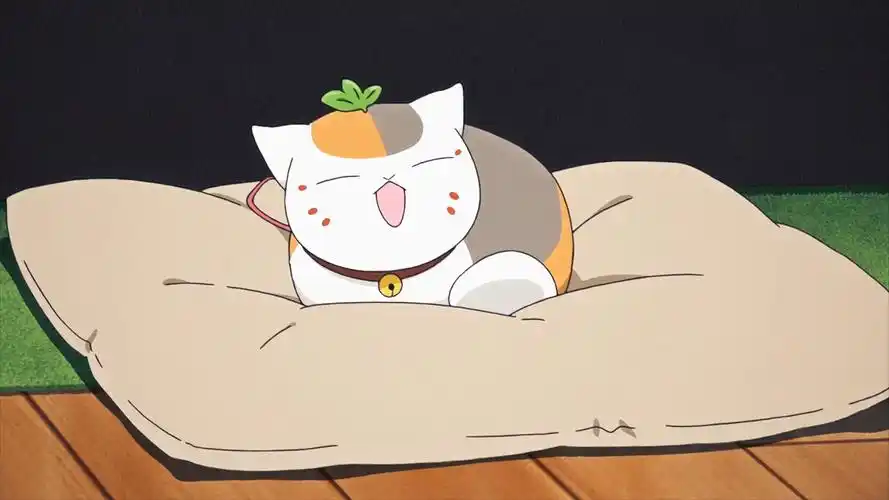 小时候的猫咪老师好可爱