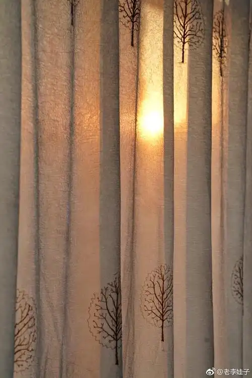 窗帘后的太阳 a7r2 24-70f2.