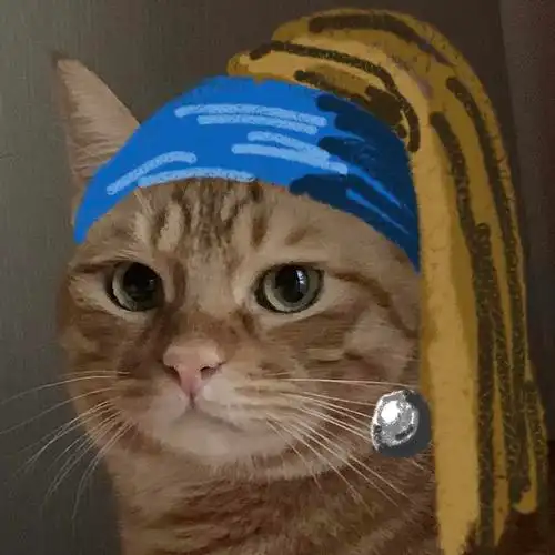 给你们看看戴珍珠耳环的小猫