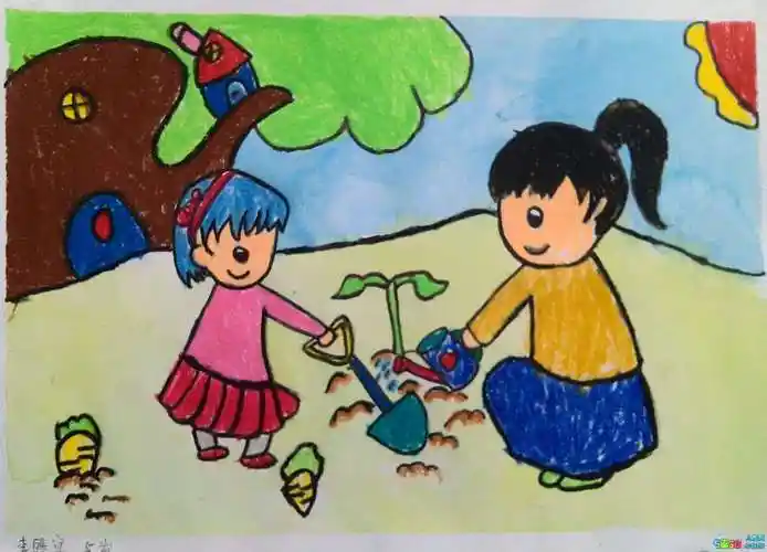 种子的秘密——大2班