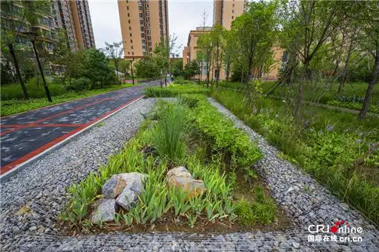 西咸新区沣西新城天福和园小区建设的雨水花园(摄影 刘强