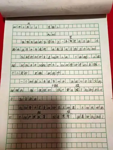 南街小学三(3)班,李怡萍,假期作文