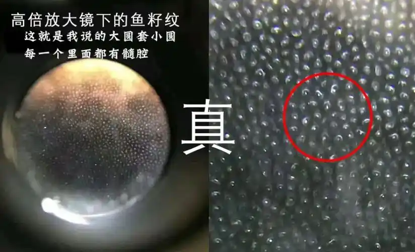 犀牛角手串鉴定方法