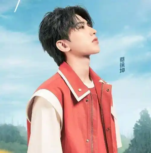 迎来四位女神,海报出炉好养眼,下一期未播先火了_李晨_蔡徐坤_线条