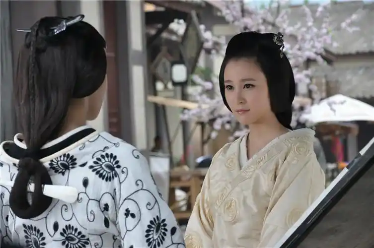 王的女人袁菲 饰 云姜