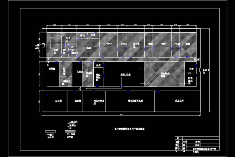赖氨酸颗粒药物制药工艺设计