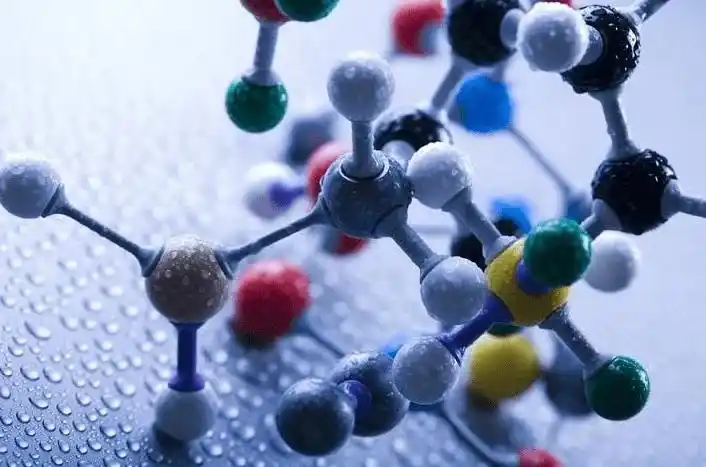 谯仕彦,周俊言,曾祥芳院士对于猪低蛋白质饲粮研究进展! - 猪好多网