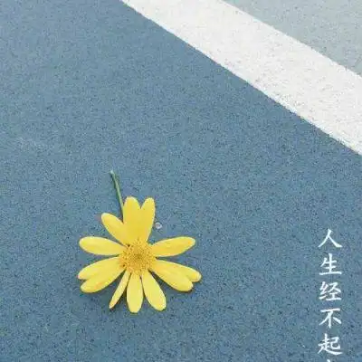 意境带字个性头像_风景静物头像_我要个性网