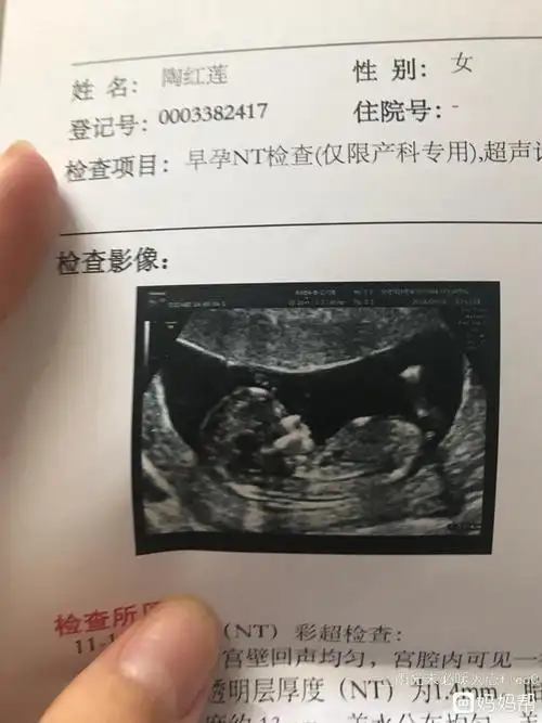 伤心!nt三个亮点是男孩女孩"把酒临风"-第2张图片-丸子博客