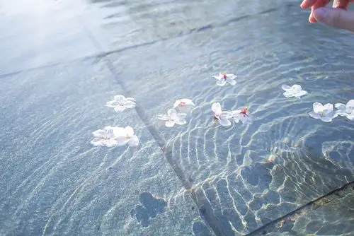 女生头像日系复古宫廷穿搭··软妹ins可爱