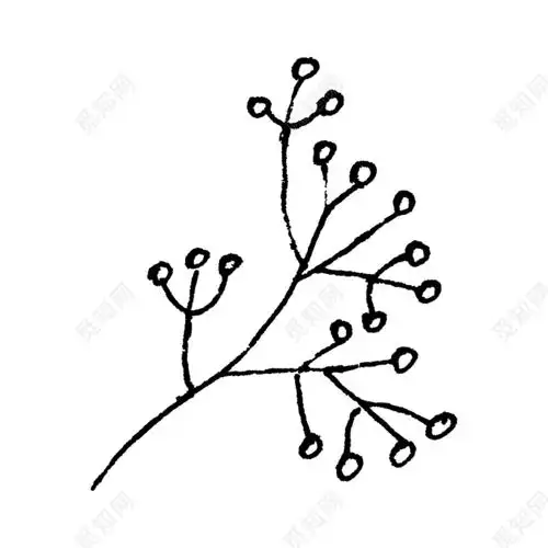 树枝简笔画简单又好看 树枝简笔画图片