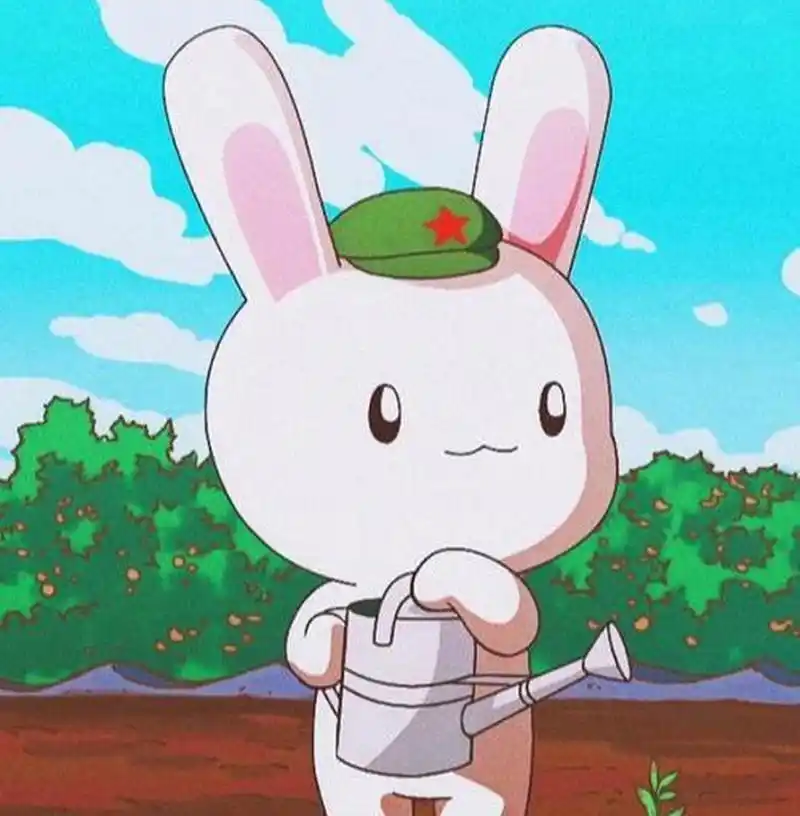 那年那兔那些事儿动漫头像/表情包 这些都是我个人保存的一些那兔的照