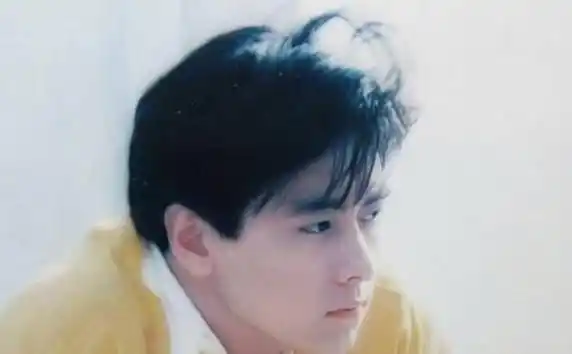 林志颖可以说从出道的时候就是这么帅,但是现在仍然还是很帅,当时只有