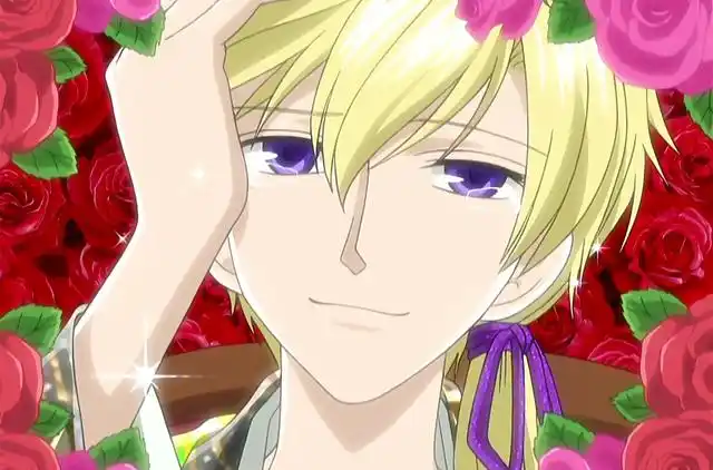 动漫里的二十位王子