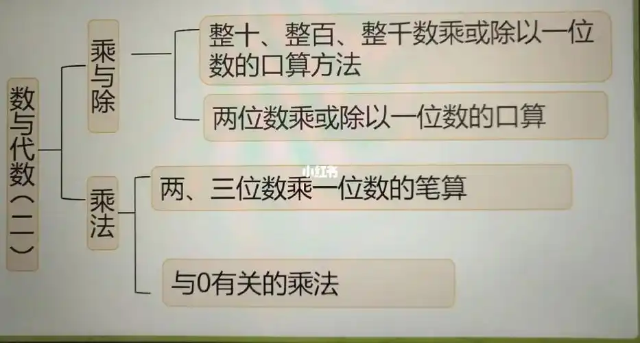 三年级数学上册数与代数复习专用