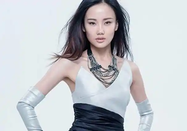 因为合作《惊鸿一面》,黄龄曾许嵩传出过恋情,但是随后就被否认了.