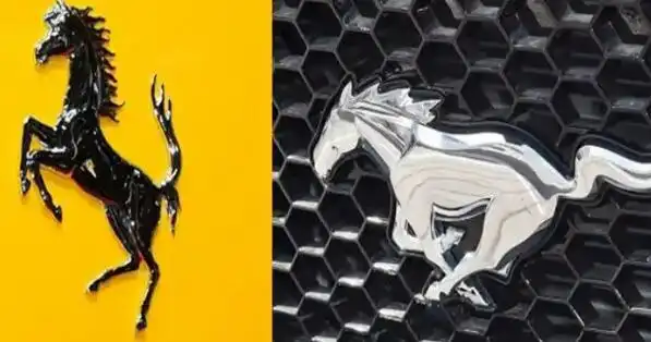 法拉利,福特野马,宝骏,伊朗霍德罗等,其中最常见的是福特野马和法拉利