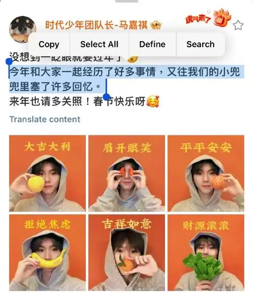 马嘉祺小熊花园