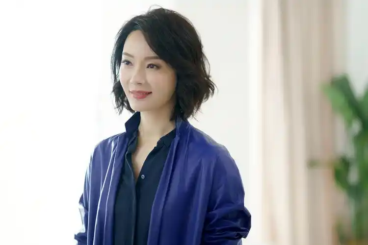 董卿女神,陈数女神的美照