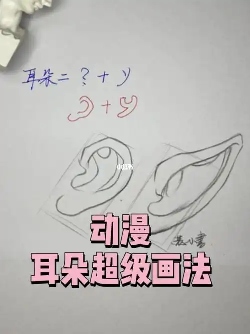 耳朵的一学就会手绘教程