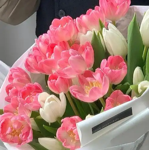 好看的图片,好看的图片唯美浪漫(好看又治愈的朋友圈背景图)