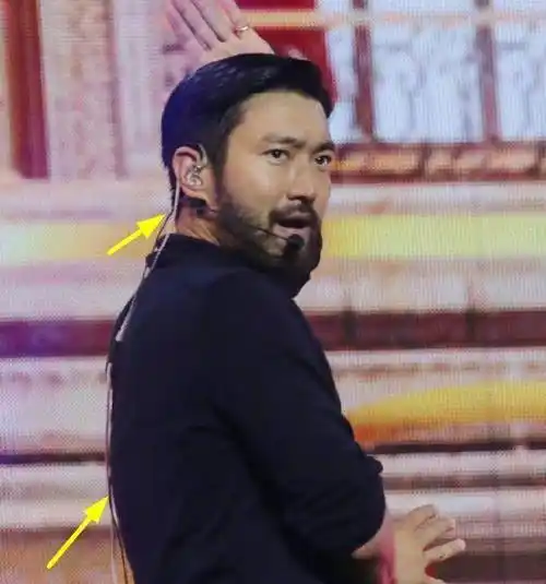 36岁崔始源络腮胡造型亮相,发福50斤认不出,被误认为费翔!