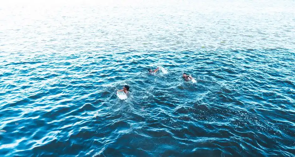 三人在水体中游泳