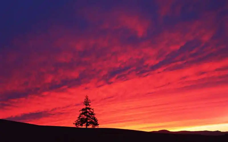 夕阳黄昏绚丽的晚霞美景壁纸