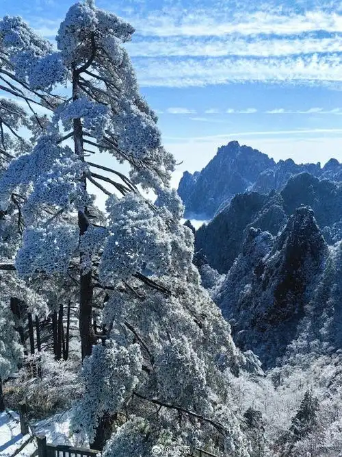 一场瑞雪过后,山峦起伏,松柏挺拔,云海翻腾,宛如仙境.