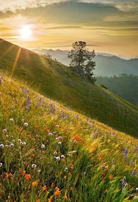 这一天就算是开启了,我们沐浴在温暖的阳光下伸着慵懒的腰,看似横冲直
