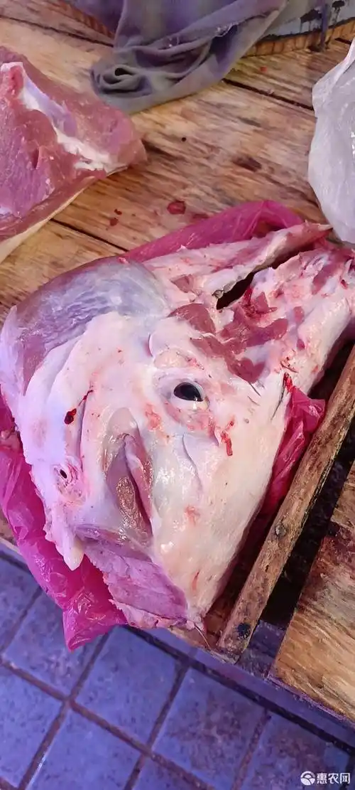 [猪头批发]新鲜猪头骨价格4元/斤 - 惠农网