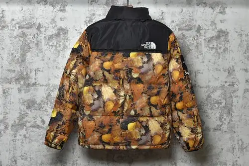 北面sup联名落叶羽绒服 the north face 正品品质北面 充绒量高达500g