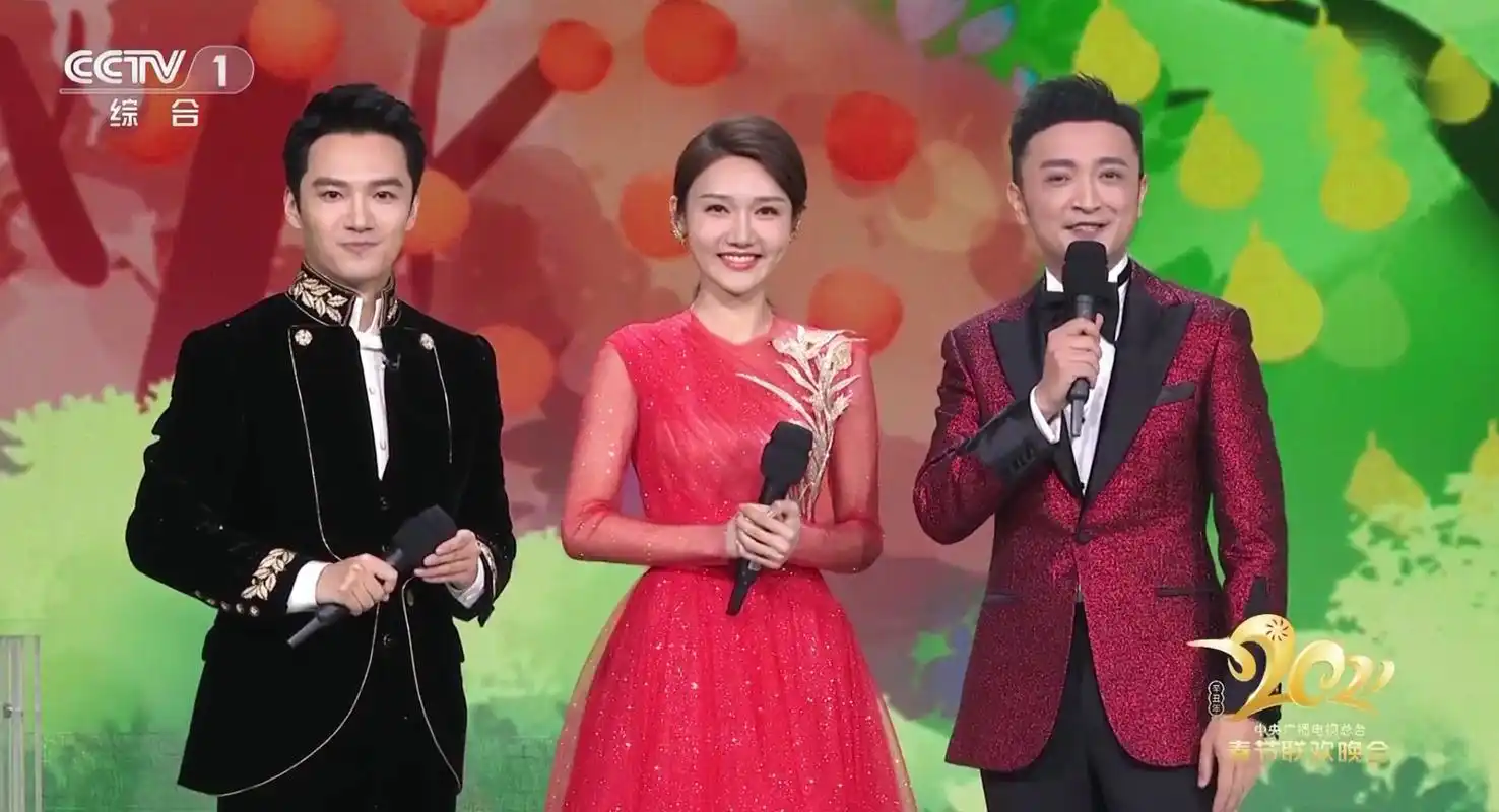 央视春晚口误后龙洋主持315晚会又嘴瓢想接班董卿任重道远