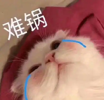 难过,难锅(猫咪流泪)_猫咪_难锅_流泪_难过表情