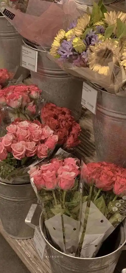 壁纸| 错过就刷不到的宝藏壁纸