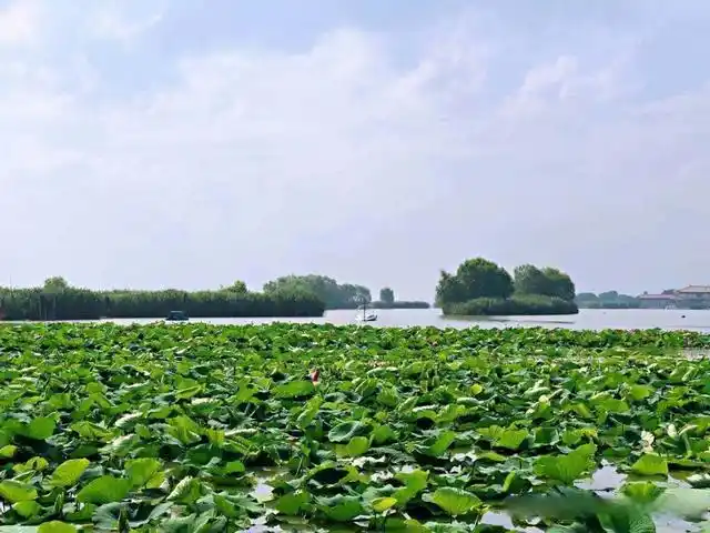 生态秀美的长荡湖 作者/来源:金塔融媒体中心