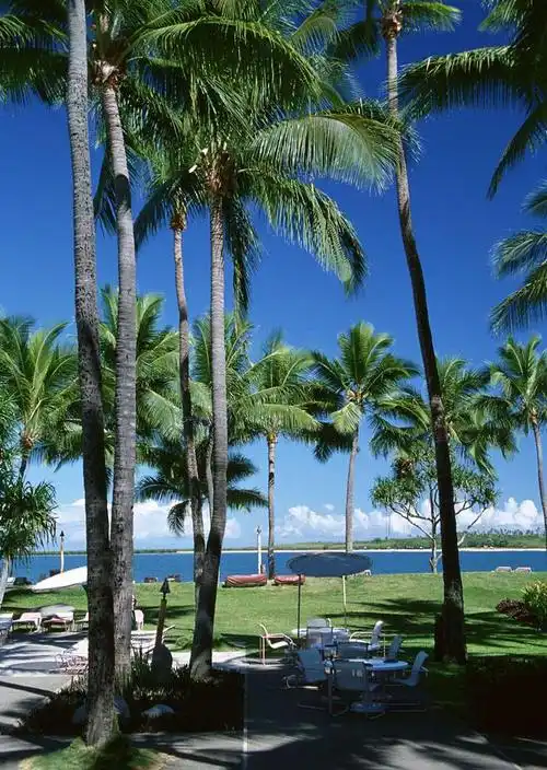 元宇宙行业资讯门户网站.