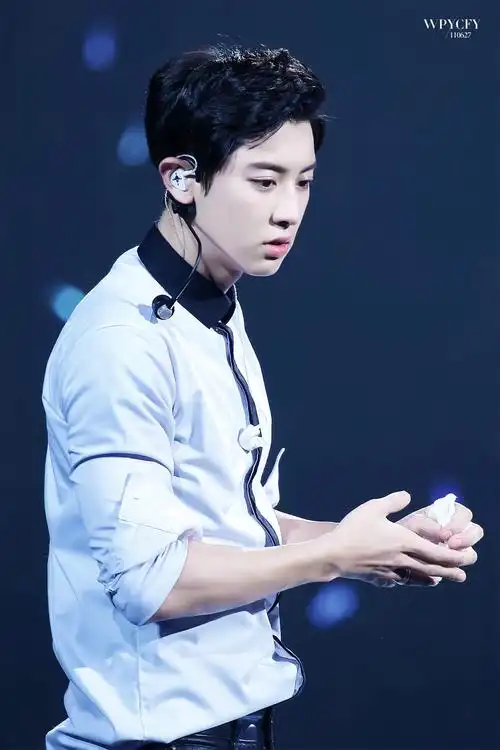 朴灿烈澳门演唱会