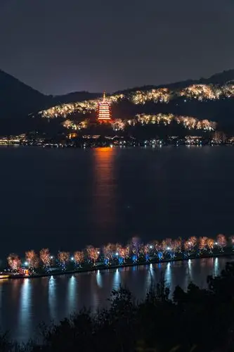 杭州西湖夜景竖图