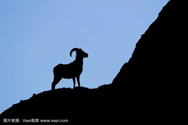 大角羊的剪影