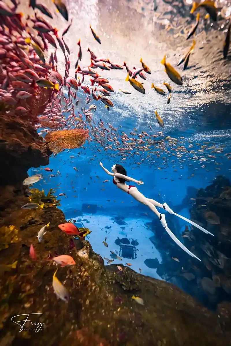 必看6015三亚美人鱼潜水摄影避坑.