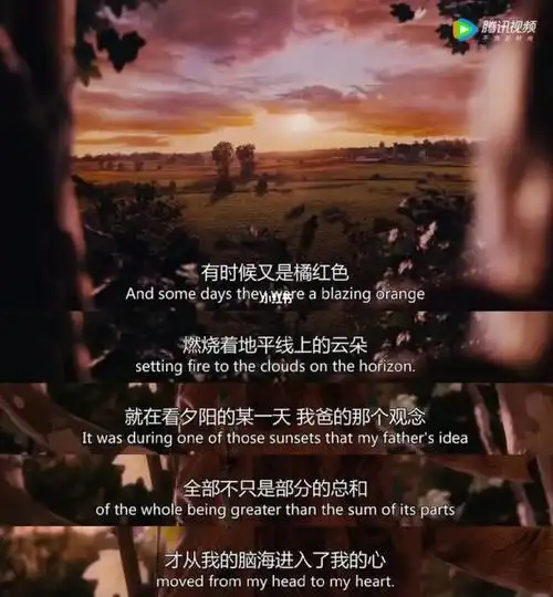 电影截屏怦然心动